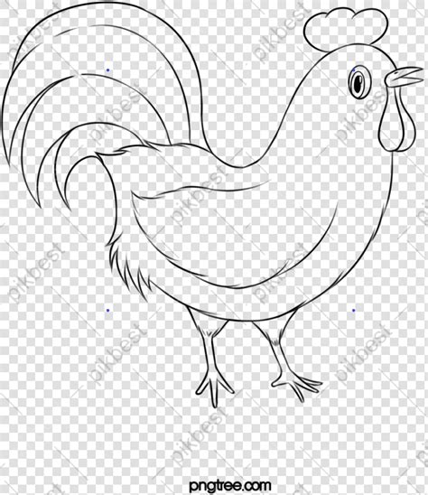 manok clipart|Manok Clipart Itim At Puti Manok Clipart Itim At Puti,puti PNG.